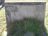 image of grave number 303556